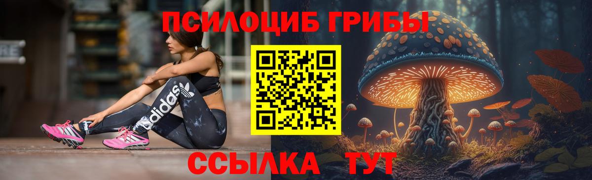 Приморско-Ахтарск  Галлюциногенные грибы ЛСД  Вход с VPN 