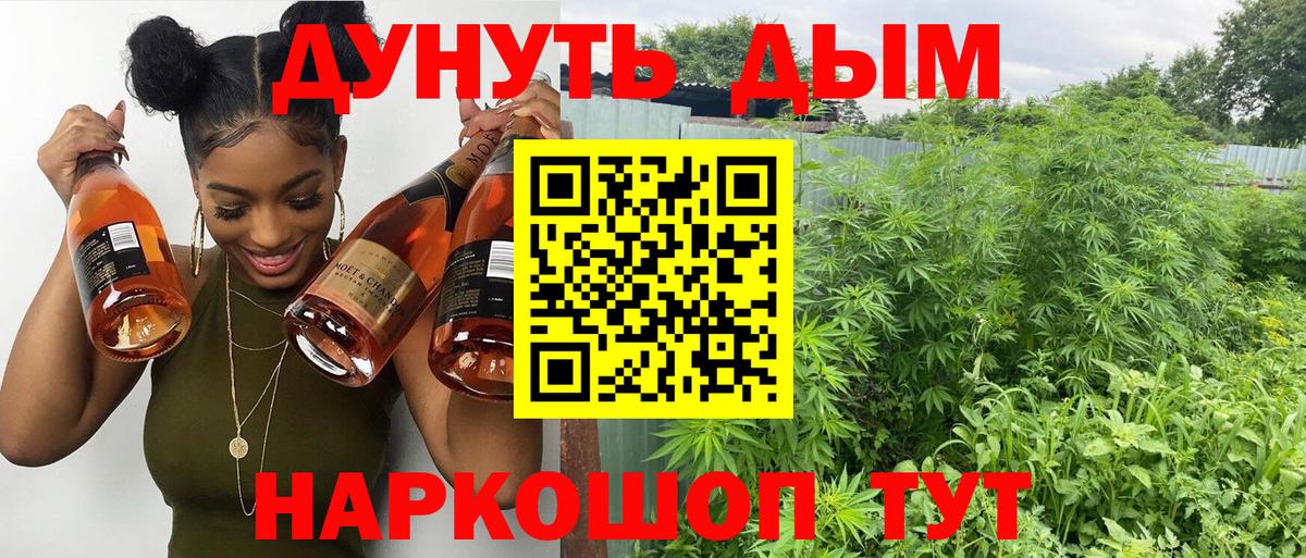 Бошки марихуана LSD WEED Приморско-Ахтарск
